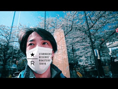 Видео: Расцвет сакуры и лучший Старбакс в Токио