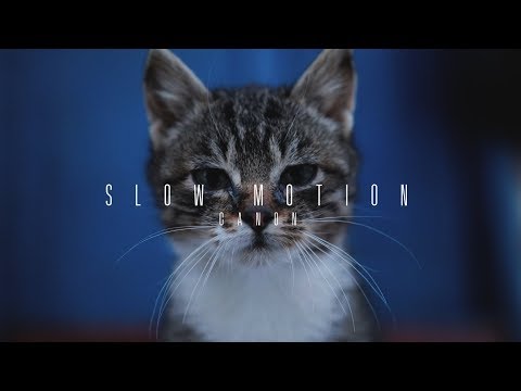 Видео: Замедленная съемка на CANON |  SLOW MOTION