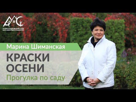 Видео: Краски осеннего сада. Прогулка по частному саду Марины Шиманской