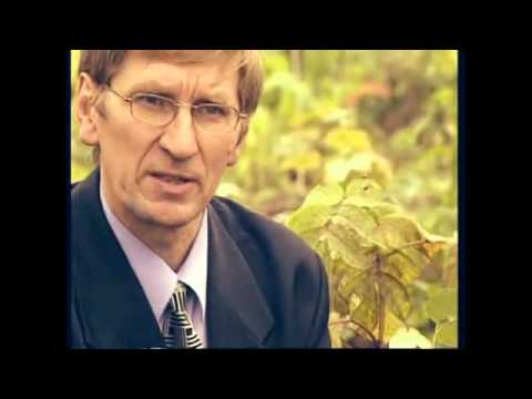 Видео: Лечебные травы подборка на все случаи жизни