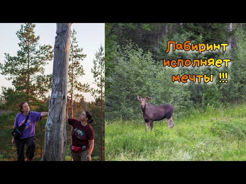 Видео: Лабиринт исполняет мечты!Maze makes dreams come true