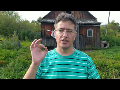 Видео: Как вырастить картофель из семян, избавить от болезней и повысить урожайность