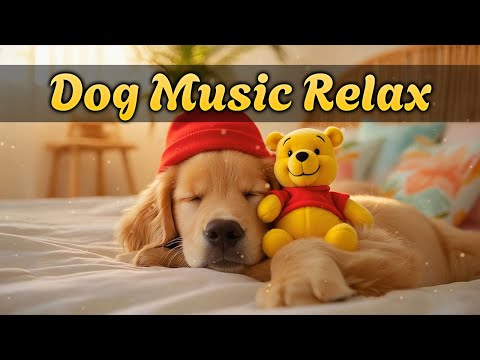 Видео: Спокойная музыка для собак 🐕 Снятие стресса, гармония и расслабление для любимого питомца 🎶💕