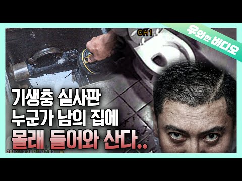 Видео: Паразит в реальной жизни, кто-то тайно живет в моем доме!