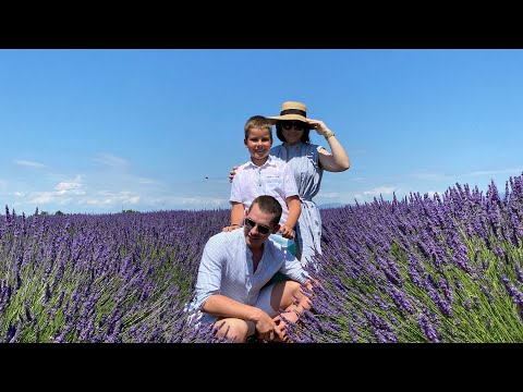Видео: Рай на земле/лавандовые поля Прованса/Франция