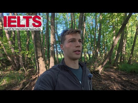 Видео: Практика устной речи IELTS — аудирование английского языка среднего/продвинутого уровня