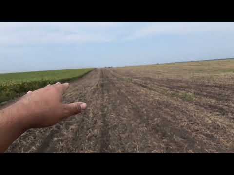 Видео: СІЄМО РІПАК НА 35+70е МІЖРЯДДЯ