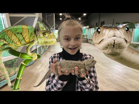 Видео: ВЛОГ ВЫСТАВКА ЗМЕЙ ! Готовим сыр филадельфия !  Ярослава Vlog