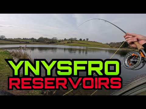 Видео: Водохранилища Инисфро — нахлыстовая рыбалка в Великобритании