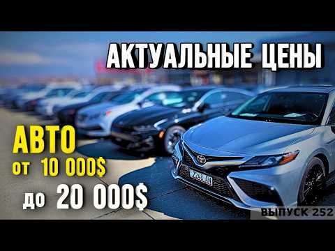 Видео: Авто из Грузии от 10000$ до 20000$ . АвтоТур Грузия. Авто из США. #mastervadya #automobile #georgia