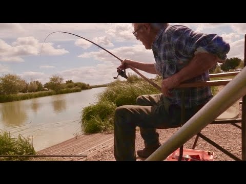 Видео: Оставшаяся наживка? Выбросьте её в воду… А НЕ В МУСОРНОЕ ВЕДРО! (Рыбам это нравится)