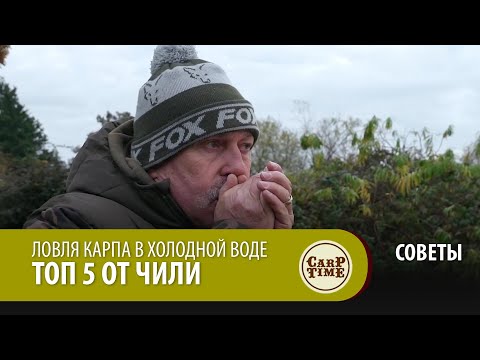 Видео: Ловля карпа в холодной воде ТОП 5 от Чили СОВЕТЫ