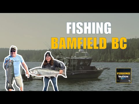 Видео: Как спланировать рыбалку в Бэмфилде, Британская Колумбия | Советы по ловле лосося, кижуча и корол...