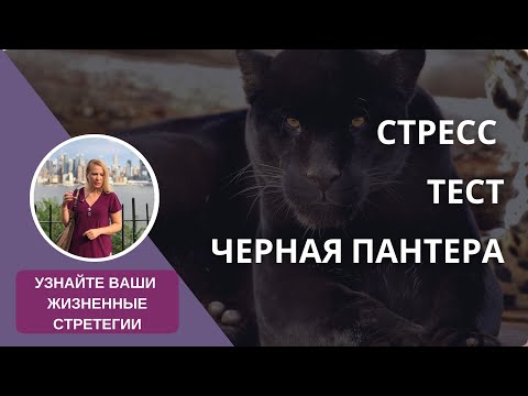 Видео: Психологический тест: ваши стратегии достижения целей, стресс-реакции и причины неудач