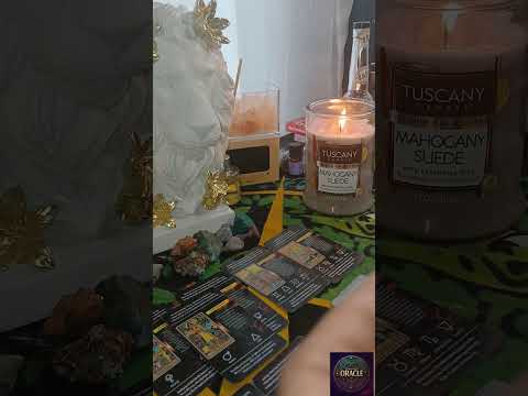 Видео: Они на собственном горьком опыте понимают, что играть с тобой в игры совершенно не стоило.