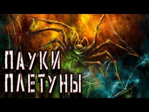 Видео: Пауки плетущие МНОООГО паутины