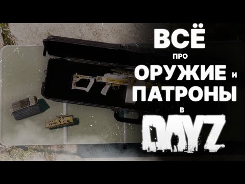 Видео: ВСЕ про ОРУЖИЕ и ПАТРОНЫ в DayZ [ГАЙД]