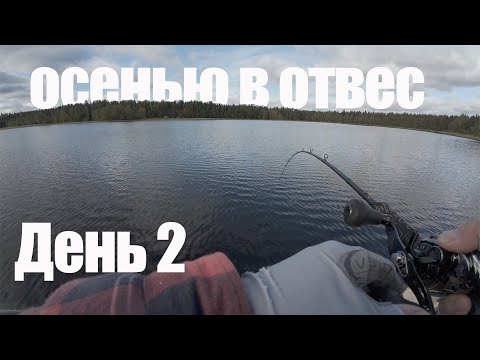 Видео: Поздней осенью с лодки В ОТВЕС. НА МАЛЬКА, на ВИБЫ. Рыбалка на бортовые удочки.