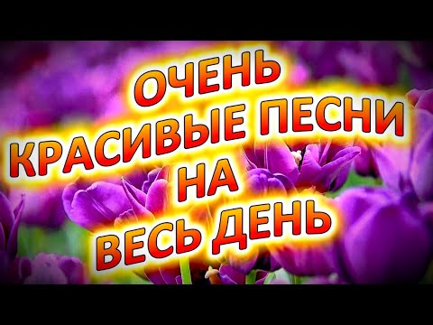 Видео: Очень КрАсИвЫе ПеСнИ на весь день!