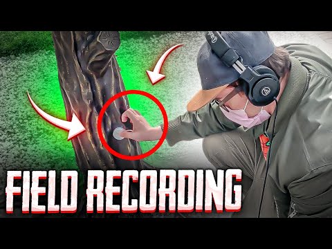 Видео: ЧТО ТАКОЕ FIELD RECORDING? ЗАПИСЬ ЗВУКОВ И БИБЛИОТЕКА