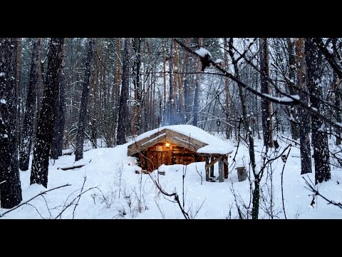 Видео: ЗЕМЛЯНКУ ЗАСЫПАЛО снегом | ГОТОВЛЮСЬ к ЛЮТЫМ морозам