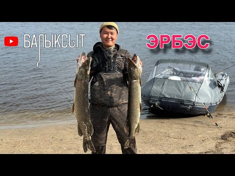Видео: ЭРБЭС 2025 БАЛЫКТААҺЫН| ТРОФЕЙДАР| САХА СИРЭ[Трип по Якутии]
