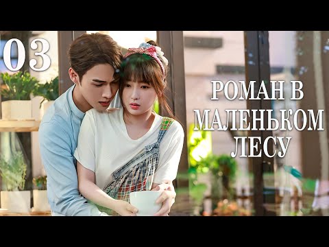 Видео: Роман в маленьком лесу 3 серия (русская озвучка) дорама A Romance of The Little Forest