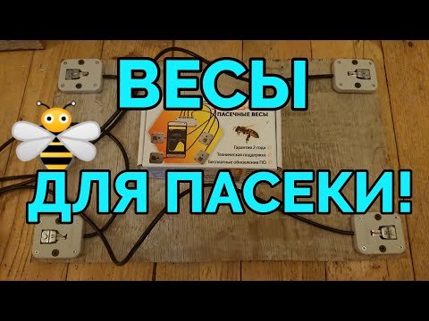 Видео: Весы для пасеки Scales4bee! Обзор пасечных весов с приложением для смартфона!