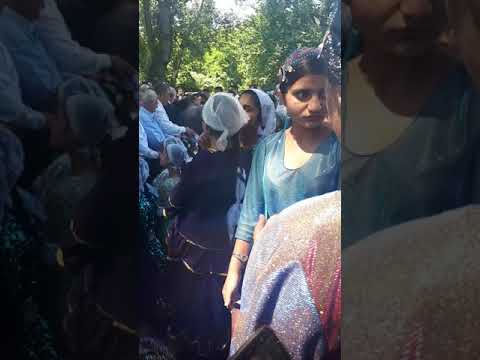 Видео: 3 августа 2020 г.