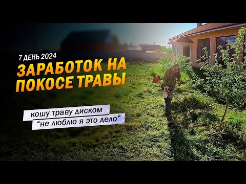 Видео: 7 | Кошу траву диском, "не люблю я это дело". Заработок в деревне на покосе травы триммером.