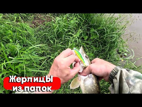 Видео: СДЕЛАЛ ЖЕРЛИЦЫ ИЗ ПАЛОК! ЛОВЛЯ ЩУКИ НА ЖИВЦА И ВОБЛЕРЫ! РЫБАЛКА В АВГУСТЕ 2024