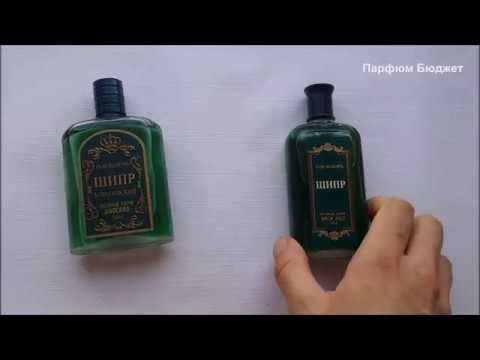 Видео: ШИПР КОРОЛЕВСКИЙ Новая Заря BROCARD