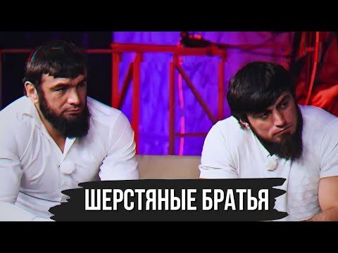 Видео: ГЛАВНАЯ ШЕРСТЬ ММА БРАТЬЯ ВАГАБОВЫ