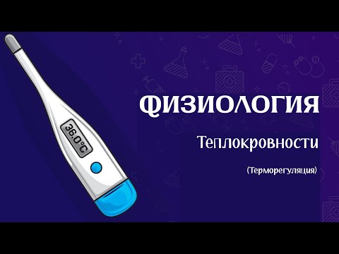 Видео: Физиология | Терморегуляция