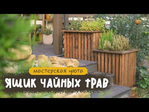 Видео: Смастерила миниогород для пряностей