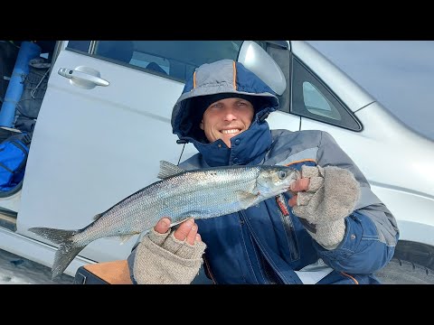 Видео: Очередной выезд на Байкал.