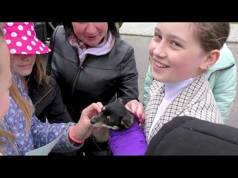 Видео: 1 Червня 2021 р. 5 В. Останній дзвоник