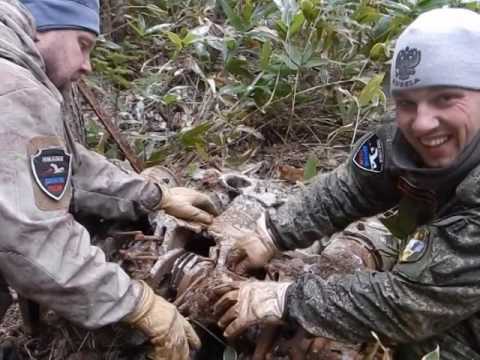 Видео: Форпост. 17.11.2016 г.