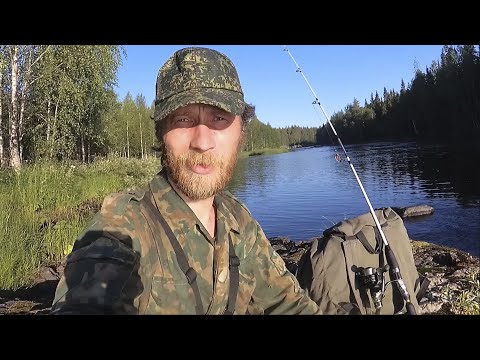 Видео: Рыбалка в Карелии на таежной реке, щука, окунь на спиннинг