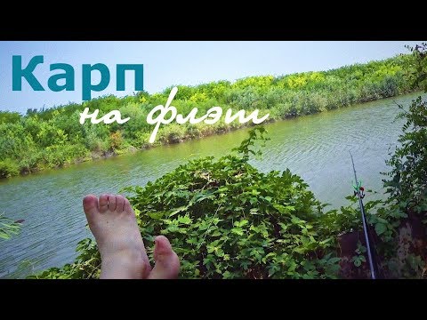 Видео: Карп на гороховый флэт или F1 по-молдавски: просто и очень эффективно!