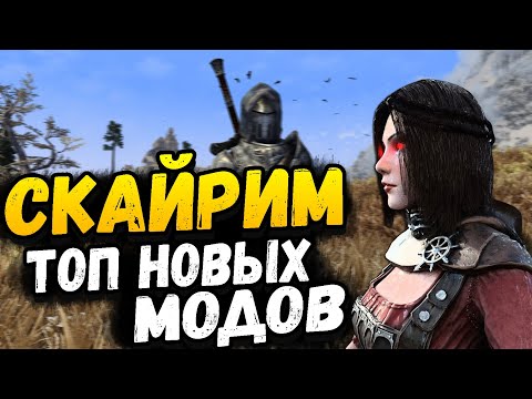 Видео: ТОП 10 НОВЫХ МОДОВ ДЛЯ SKYRIM