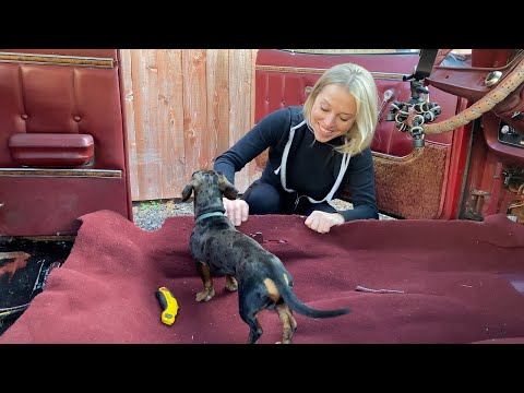 Видео: «Готова ли она к красной дорожке?» Дженнифер Сагинт NNKH