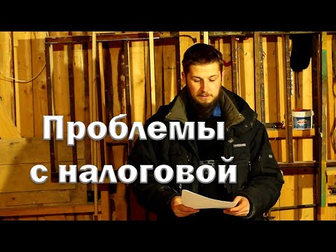 Видео: Проблемы с законом // Опять накапали в налоговую.