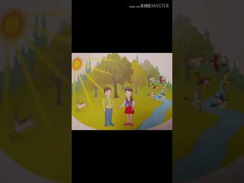 Видео: 13  Основы экологии  Откуда берется и куда исчезает мусор