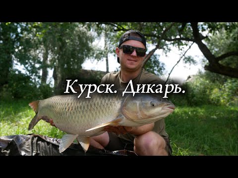 Видео: Карпфишинг на диком водоеме Курской области. Валера дал жару.