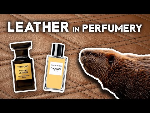Видео: Руководство парфюмера по нотам кожи в парфюмерии