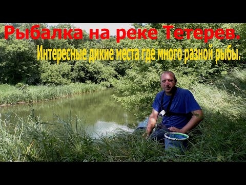 Видео: Рыбалка на реке Тетерев.Интересные дикие места где много разной рыбы.