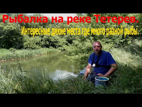 Видео: Рыбалка на реке Тетерев.Интересные дикие места где много разной рыбы.