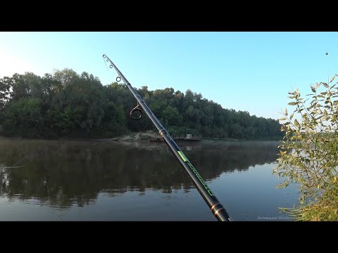 Видео: Фидер. Живцовка. Рыбалка на Фидер в Июне. Река Десна