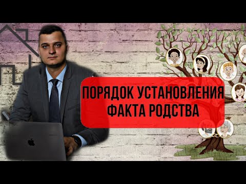 Видео: Как установить родство?